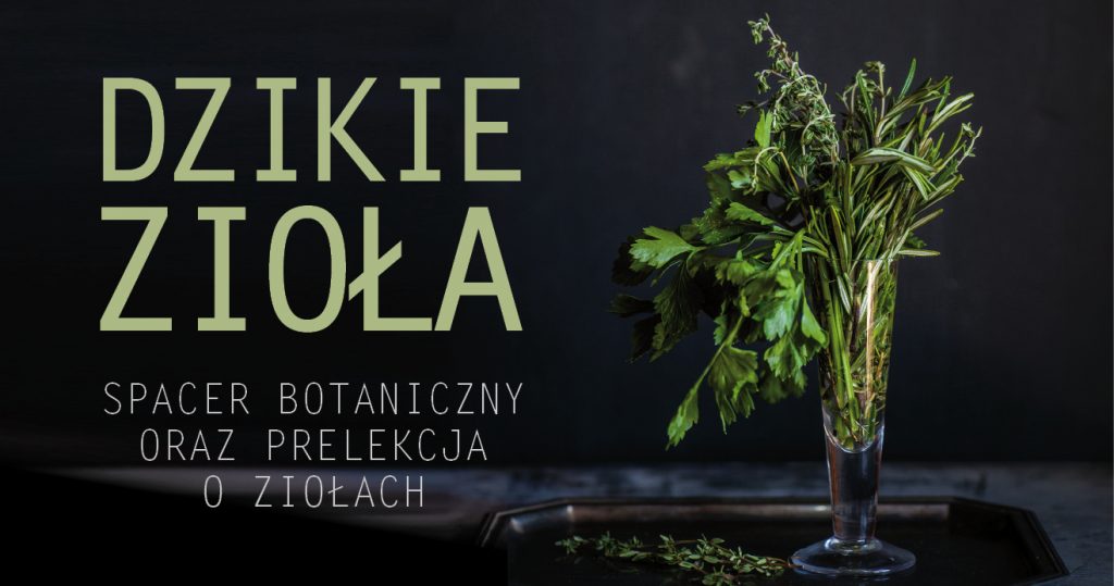 Zdjęcie ziół w kieliszku (pietruszka i inne), na tacce na ciemnym tle. Po lewej stronie napis: Dzikie zioła. Spacer botaniczny oraz prelekcja o ziołach