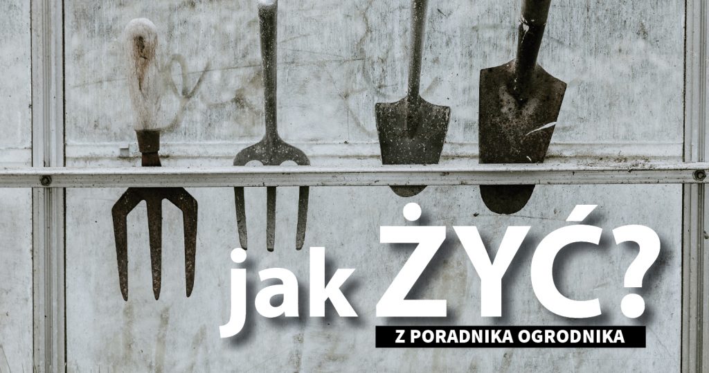 Zdjęcie narzędzi ogrodowych wetkniętych w listwę na tle blachy. Na dole napis: Jak żyć? Z poradnika ogrodnika