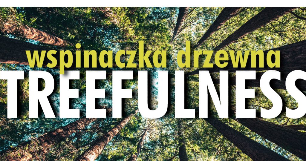 Zdjęcie wysokich strzelistych drzew zrobione od dołu. Na środku duży napis: Wspinaczka drzewna - Treefulness