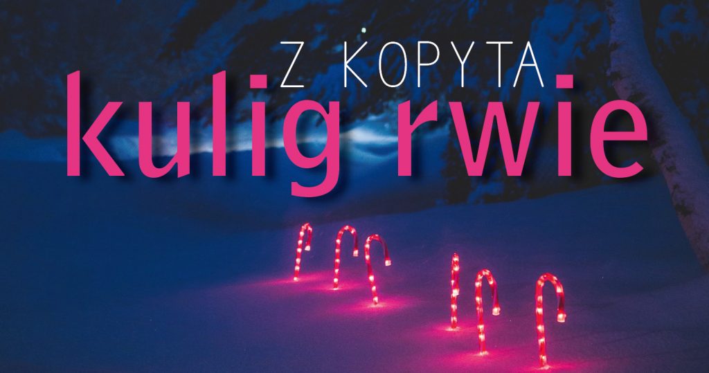 Fluorescencyjne zdjęcie bożonarodzeniowych lasek wetkniętych w śnieg, na tle zimowego krajobrazu wieczorem lub nocą. Na środku kolorowy napis: Z kopyta kulig rwie
