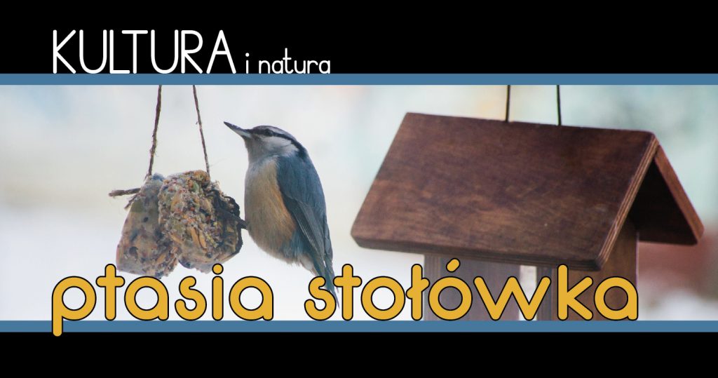Zdjęcie ptaszka jedzącego kulkę z ziaren, po prawej karmnik dla ptaszków. Na górze napis: Kultura i natura. Na dole napis: ptasia stołówka