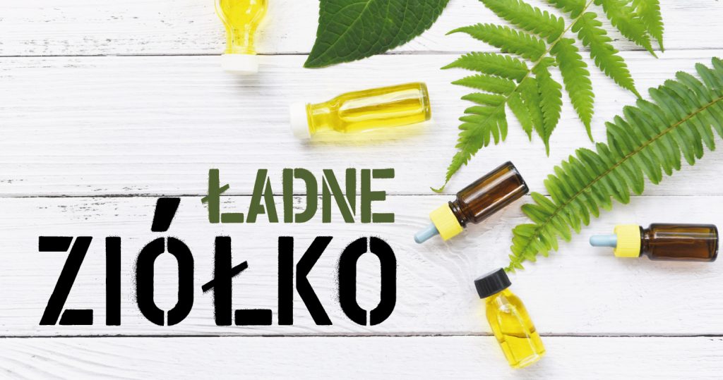 Zdjęcie małych fiolek/buteleczek z płynami, liście paproci ułożone na jasnym blacie z desek. Po lewej napis: ładne ziółko imitujący szablon
