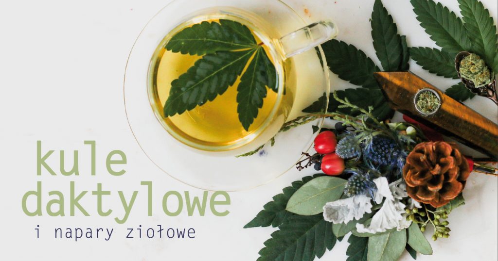 Zdjęcie promujące warsztaty. Po lewej stronie napis: kule daktylowe i napary ziołowe. Po prawej zdjęcie ładnie ułożonych ziół, gałązek i kwiatów oraz szklanka z ziołowym naparem widoczna od góry.