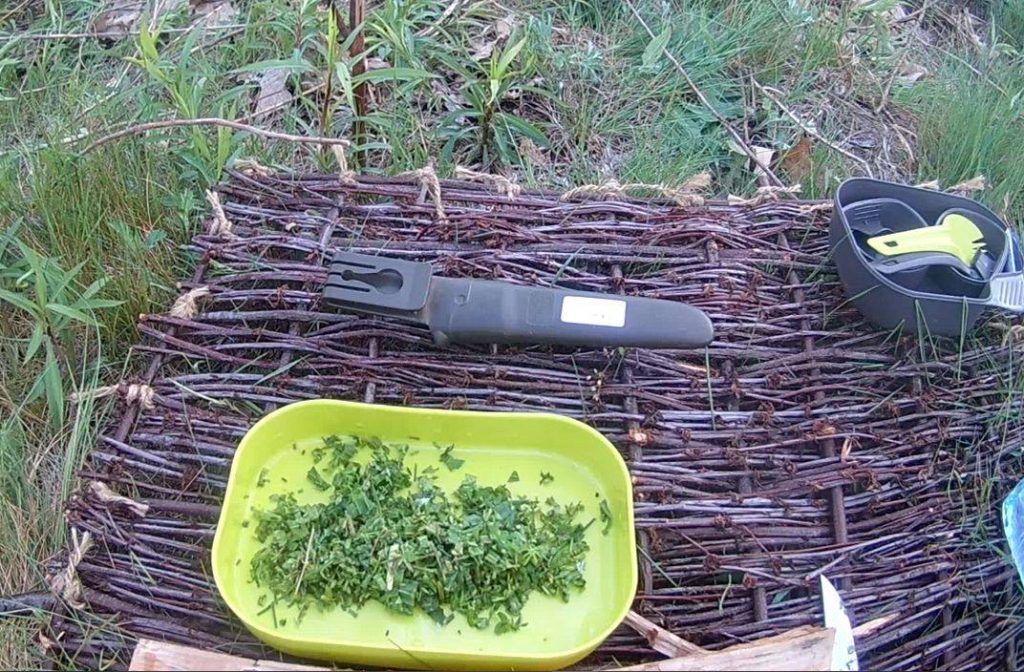 Zdjęcie poszatkowanych ziół na jasno-zielonej tacce, która stoi na macie z gałązek. Na macie również biwakowe plastikowe naczynia. Wokół maty zielona trawa