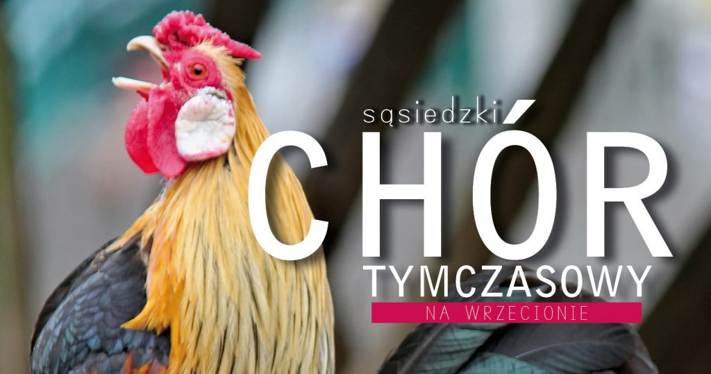 Plakat Sąsiedzkiego Chóru Tymczasowego na Wrzecionie z kolorowym dużym kogutem w tle