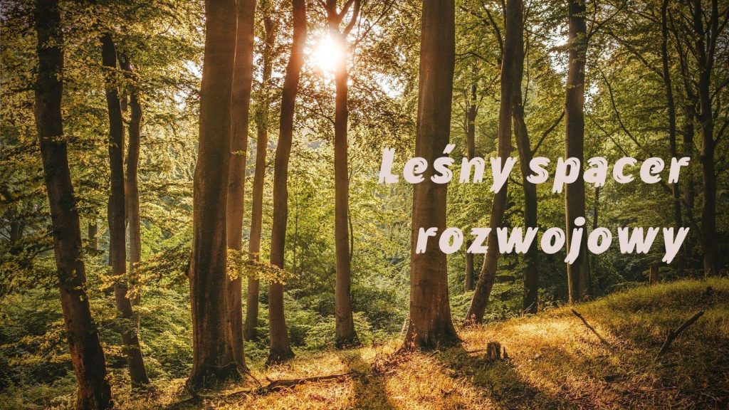 Na zdjęciu znajduje się widok na las. Między drzewami przebijają się promienie słoneczne. Po prawej stronie napis: Leśny spacer rozwojowy