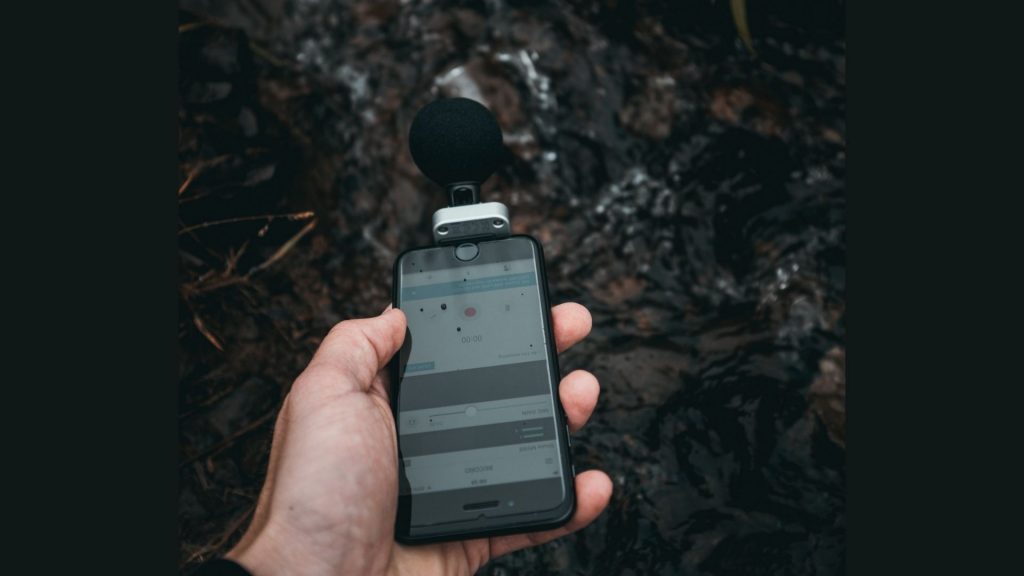 Na zdjęciu znajduje się dłoń trzymająca smartfona na tle ciemnego leśnego krajobrazu.
