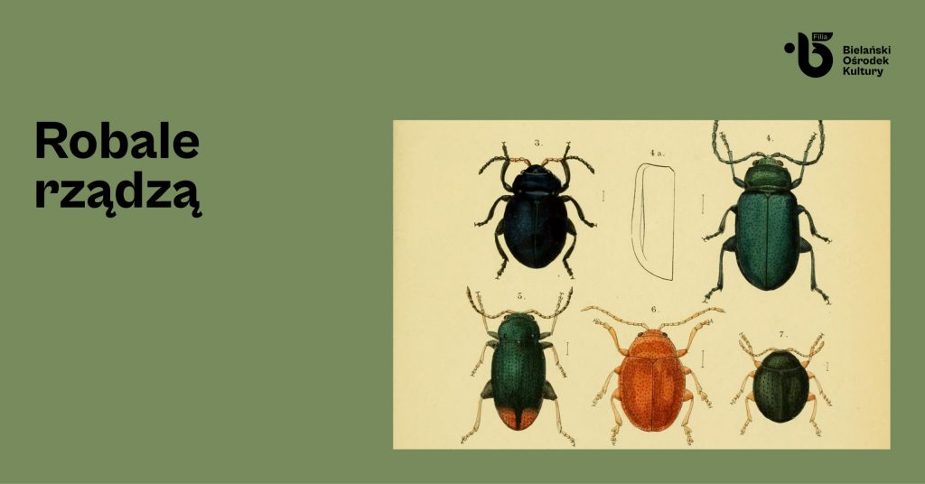 Na zdjęciu znajduje sie fragment rysunku z atlasu entomologicznego, na którym widać rysunki przedstawiające pięć różniących się od siebie chrząszczy. Każdy z nich jest ponumerowany cyframi od 4 do 7. Obok po lewej stronie widnieje napis "Robale rządzą".