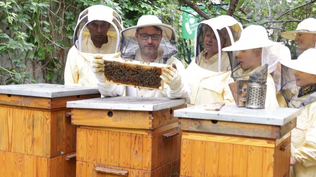 Grupa osób w strojach pszczelarskich ogląda trzymana przez jedna z nich ramkę z z pszczołami i miodem.