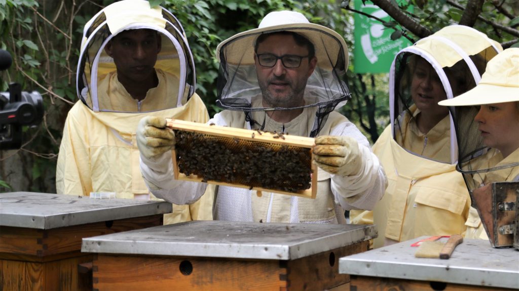 Mężczyzna stojący w środku trzyma w rękach ramkę z pszczołami. Po obu jego stronach znajdują sie inne osoby obserwujące to co on robi. Wszystkie postacie ubrane są w żółte kombinezony ochronne.