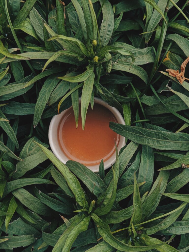 Filiżanka z herbatą ukryta wśród zielonych liści